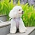 voordelige Hondenhalsbanden, tuigjes &amp; riemen-huisdier borstband grensoverschrijdende nieuwe tanktop stijl geruite ademende hond trekkabel kleine hond teddy wandeltouw