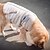 voordelige Hondenkleding-petstyle gestreepte grote hond tweepotige jas gouden haar samoye husky vierpotige jas