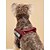 お買い得  犬用首輪＆ハーネス＆リード-犬猫ハーネス調整可能なベストスポーツ調整可能な屋外レタークラシックポリエステル小型犬中型犬大型犬ライトレッド 1pc