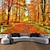 abordables paisaje tapiz-Tapiz de paisaje de bosque de otoño, arte de pared, tapiz grande, decoración de pared, fondo de fotografía, manta, cortina, hogar, dormitorio, sala de estar, decoración