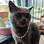お買い得  犬用首輪＆ハーネス＆リード-ネックレス 水 ダイヤモンド トランスポート ビーズ 犬のネックレス 猫のジュエリー ネックレス 首輪ネックレス