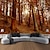 cheap Landscape Tapestry-Autumn Forest Scenery Tapestry Wall Art Large Tapestry Wall Decoration Photography Background Blanket Curtain Home Bedroom Living Room Decoration