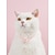 cheap Dog Collars, Harnesses &amp; Leashes-1 Pet Necklace Bead Neck Ring Pink Bow Tie Bead Cat Necklace Jewelry Accessories Small and Medium Dog Collar