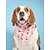 olcso Kutyaruházat-kutya macska kutya selyemkendő háromszög előke kiegészítők macska születésnapi kendő sapka édes stílus alkalmi napi szabadtéri mindennapi ruha kutyaruha kölyökkutya ruházat kutya ruhák állítható rózsaszín jelmez lány és fiú kutyának