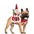 baratos Fantasia de Animais de Estimação-Cachorros Gatos Fantasias Roupa de Natal Moda Estilo bonito Inverno Macio Lavável Confortável Natal Ao ar livre Casual / Diário Festival Bichon Frise Poodle Pomerânia Animais de Pequeno Porte
