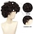 cheap Mens Wigs-Smilco Short Black Fluffy Disco Afro Hippie Wigs, Curly Afro Wig for men, 70s 80s Afro Wigs Anime Rocker Wig Costume Cosplay Halloween Daily Wear Wig Heat Resistant Synthetic Wig