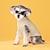 preiswerte Hundekleidung-Haustierkleidung Herbst und Winter neue Mode Bonbonfarben Pullover Hund niedliches Haustier einfarbig gebratener Teig Twists Strickpullover