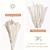 お買い得  人工観葉植物-15 個の白いススキの草原、6.69/17.72 インチの自然な乾燥したススキの枝の装飾ホームキッチンガーデンパーティー撮影フラワーアレンジメント花瓶の装飾 (白)
