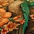 Χαμηλού Κόστους Τσάντες γραφικών εκτύπωσης-Γυναικεία Τσάντα χιαστί Τσάντα ώμου Αφράτη τσάντα Πολυεστέρας ΕΞΩΤΕΡΙΚΟΥ ΧΩΡΟΥ Ψώνια Καθημερινά Εμπριμέ Μεγάλη χωρητικότητα Ελαφρύ Ανθεκτικό Λουλούδι Κίτρινο Σκούρο πράσινο Πράσινο