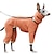 abordables Manteaux-Chien Chat Manteau Veste Mode Occasionnel Hiver Respirant Doux Lavable Confortable Extérieur Décontracté Quotidien Vêtements pour Chiens for Bichon Frisé Spitz Nain Bébé Animal Papillon Petit
