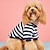 halpa Koiran vaatteet-sarjakuva villapaita koiran vaatteet mukavat muhkeat lemmikkivaatteet koiran nalle lemmikkipusero