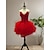 levne Taneční kostýmy-Dámské Princeznovské Tanečnice balerína Výkon Tanec Šaty Odstupňovaný Tutu Dámské šaty Roztomilý Večírek Tyl Peří matná červená Šaty