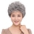 cheap Older Wigs-Ladies Gray Short Curly Synthetic Full Hair Wigs Natural Wavy Fluffy Mom Costume Old Grandma Cosplay Wigs for Women (Curly Silver Gray)