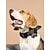 olcso Nyakörvek, hámok és pórázok kutyáknak-Kutyák Gallérok állítható Flexibilis Menekülésbizonyítás Biztonság Szabadtéri Álcázás Punk Oxfordi ruha Rekedt Labrador Shiba Inu Lhasa Apso Közepes kutya Nagy kutya Terepszínű Fekete 1db
