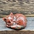 economico Statue-1 pezzo di gatto addormentato con scultura in cristallo, regalo di cristallo, decorazioni per la casa, campione di minerali, pietra nuda, pietra curativa