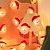 cheap Battery &amp; USB Indoor Lights-Snowman String Lights Elk Fairy Lights 1.5m 10LEDs Battery Powered  Party Home Garden Tree Window Decoration Wreath Lights