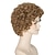 tanie Peruki kostiumowe-Women Short Curly Wig Strawberry Blonde Brown Cosplay Party Wig Halloween Wigs