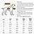 cheap Dog Apparel &amp; Accessories-Dog Cat Sweatshirt Fashion Casual Winter Warm Breathable Soft Washable Comfortable Outdoor Casual Daily Dog Clothing for Bichon Frise Pomeranian Baby Pet Papillon Small