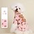 preiswerte Pyjama-Hunde Katzen Pyjamas Kuschelig Brautkleider schlicht Winter Warm Atmungsaktiv Weich Waschbar Komfortabel Outdoor Casual Hundebekleidung for Bichon Frise Spitz kleines Haustier Schmetterling Small