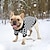 abordables Ropa para perro-Suéter a cuadros para perros pequeños, jersey de cuello alto, suéter de punto para gatos, ropa gruesa y cálida para mascotas, trajes para chihuahua bulldog dachshund pug