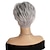 abordables peluca vieja-Peluca gris corta para mujer, peluca de corte pixie en capas sintéticas de color gris plateado con flequillo, peluca de pelo de disfraz de aspecto natural, pelucas en capas cortas y esponjosas de
