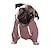 tanie Bluzy z nadrukiem zwierząt-bluza z kapturem dla psa z napisem tekstowym memy dla psów swetry dla dużych psów sweter dla psa solidny miękki szczotkowany polar ubrania dla psów bluza z kapturem dla psa bluza z kieszenią