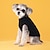 cheap Dog Clothes-Pet Clothes Autumn And Winter New Fashion Candy Color Sweater Dog Cute Pet Solid Color Fried Dough Twists Knitting Pullover