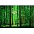 billige natur og landskab tapet-landskab tapet vægmaleri grøn skov vægbeklædning klistermærke skræl og stick aftageligt pvc/vinyl materiale selvklæbende/klæbende påkrævet vægindretning til stue køkken badeværelse