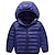 cheap Outerwear-Kids Unisex Hoodie Jacket Outerwear Kids Puffer Jacket Solid Color Long Sleeve Zipper Coat Outdoor Adorable Daily Royal blue cotton jacket black cotton coat Orange cotton jacket Spring Fall 7-13 Years