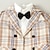 cheap Sets-3 Pieces Toddler Boys Suit &amp; Blazer Outfit Plaid Long Sleeve Cotton Set School Fashion Daily Spring Fall 3-7 Years Beige