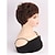 cheap Older Wigs-Synthetic Wig Curly Pixie Cut Machine Made Wig Short Brown Synthetic Hair Women&#039;s Soft Party Easy to Carry Brown