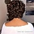 abordables Perruques de qualité supérieure-Perruques synthétiques courtes bob pour femmes perruque de cheveux synthétiques naturels bouclés afro pour un usage quotidien 14 pouces