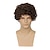 cheap Mens Wigs-Brown Curly Short Afro Wig for Male Guy California Mens Cosplay Costume Daily Hair Synthetic Heat Resistant Mens Full Wigs