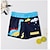 preiswerte Badebekleidung-kinderkleidung Jungen Badeanzug Graphic Ärmellos Strand bezaubernd Zoo Sommer Kleidung 3-7 Jahre