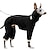 abordables Manteaux-Chien Chat Manteau Veste Mode Occasionnel Hiver Respirant Doux Lavable Confortable Extérieur Décontracté Quotidien Vêtements pour Chiens for Bichon Frisé Spitz Nain Bébé Animal Papillon Petit