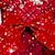 Χαμηλού Κόστους 3d φορέματα κοριτσιών-Κορίτσια » 3D Καρό Χιονονιφάδα Φόρεμα για πάρτυ Αμάνικο 3D εκτύπωση Καλοκαίρι Άνοιξη Φθινόπωρο Πάρτι Ειδική Περίσταση Γενέθλια Κομψό Πριγκίπισσα Πανεμορφη Παιδιά 3-12 χρόνια