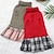cheap Dog Clothes-New dog clothing plaid patchwork bow pet coat dress autumn winter high neck warm dog skirt
