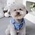 abordables Chaleco Refrigerante-Perros Gatos Chaleco Moda Casual Invierno Transpirable Suave Lavable Cómodo Exterior Casual Diario Ropa para perros for Bichón Frisé Pomerania Animal doméstico del bebé Mariposa Small