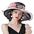 Χαμηλού Κόστους Fascinators-fascinators καπέλο ντέρμπι Κεντάκι καπέλο κεφαλής από πολυεστέρα οργάντζα καπέλο ηλίου πάνω καπέλο πέπλο καπέλο εορταστική παραλία κομψό vintage με πουπουλένια δαντέλα στο πλάι κεφαλόδεσμο