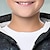 billiga Pojkes 3D Ytterkläder-Pojkar 3D Varg Huvtröja Kappa Ytterkläder Långärmad 3D-tryck Höst Vinter Mode Streetwear Häftig Polyester Barn 3-12 år Utomhus Ledigt Dagligen Normal