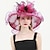 ieftine Pălării Party-Palarie organza Kentucky Derby Biserică Nuntă Protecție Solară Cu Pană / Blană Floral Diadema Articole Pentru Cap