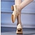 ieftine Pantofi Jazz-Pentru femei Pantofi de jazz Pantofi de Dans Bal Antrenament Talpă Despărțită Dantelă Toc Jos Vârf rotund Dantelat Adulți Cămilă Negru Roz