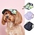 halpa Koiran vaatteet-koiran kissa hattu rento tyyli aurinkosuoja aurinkosuoja vuotavat korvat säädettävä camo mansikka ruudullinen lemmikki baseball hattu