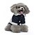 abordables Abrigos-Perros Gatos Abrigos Chaqueta Deportes Casual Invierno Templado Transpirable Suave Lavable Cómodo Exterior Casual Diario Ropa para perros for Bichón Frisé Pomerania Animal doméstico del bebé Mariposa