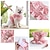 abordables Vêtements pour chiens-Joli gilet harnais en dentelle à motif de fleurs pour chien avec ensemble de laisse - maille douce et respirante pour chiens de petite et moyenne taille - parfait pour les promenades en plein air et