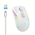 cheap Mice-2.4G Wireless Mouse RGB Light Rechargeable 4800DPI Adjustable USB Plug And Play Optical Mouse Game Home Office Black/White