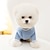 abordables Suéteres-Perros Gatos Suéteres Saltador Moda Estilo lindo Invierno Templado Transpirable Suave Lavable Cómodo Exterior Casual Diario Ropa para perros for Bichón Frisé Pomerania Animal doméstico del beb