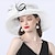 ieftine Pălării &amp; Fascinatoare-fascinators Kentucky Derby pălărie pălărie din poliester organza pălărie de soare pălărie de vârf pălărie din voal vacanță plajă elegantă vintage cu dantelă din pene caciulă laterală