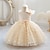 Χαμηλού Κόστους Φορέματα-Νήπιο Κοριτσίστικα Φόρεμα για πάρτυ Συμπαγές Χρώμα Αμάνικο Επίδοση Γάμου χαριτωμένο στυλ Πριγκίπισσα Πολυεστέρας Ως το Γόνατο Καλοκαίρι 3-7 Χρόνια Πολύχρωμο Σαμπανιζέ Ανθισμένο Ροζ