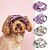 abordables Sombrero de sol-Perros Gatos Sombreros, gorras y pañuelos Moda Casual Invierno Transpirable Suave Lavable Cómodo Exterior Casual Diario Ropa para perros for Bichón Frisé Pomerania Animal doméstico del bebé Mariposa